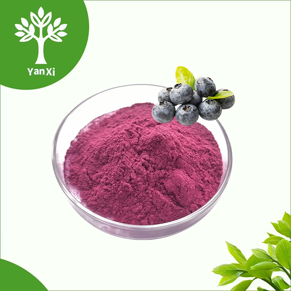 Freeze-Dried Blueberry Powder Bulk Freeze-Dried Blueberry Powder Bulk